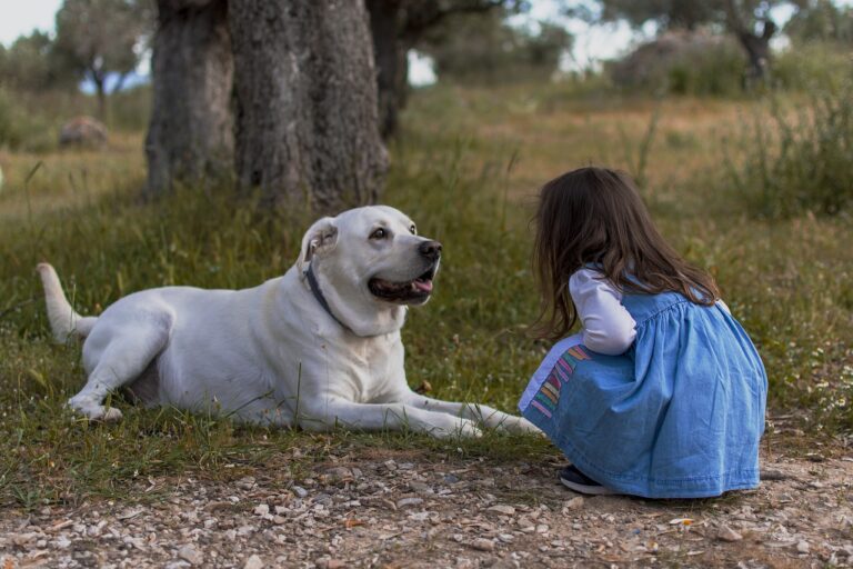 Dogs May Help Prevent Allergies in Children